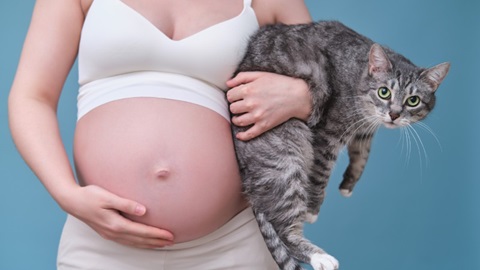 femmes enceinte tenant un chat dans son bras